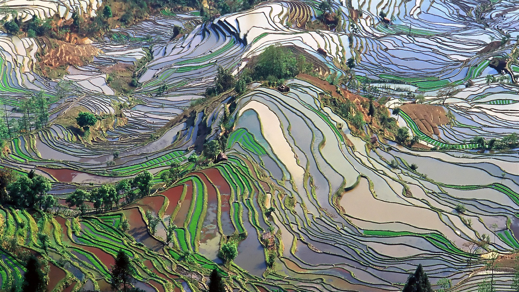 Yunnan